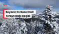Görenler Dönüp Bir Daha Bakıyor! Tersun Dağı’nda Kartpostallık Görüntüler