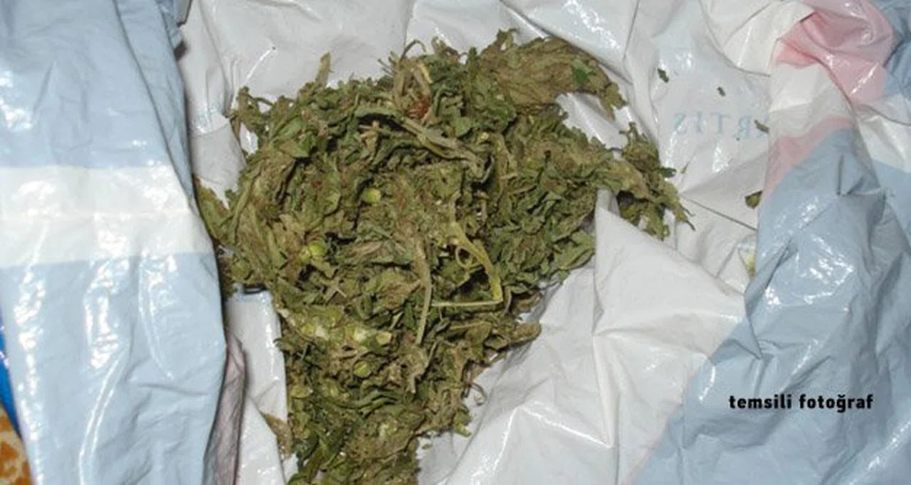 Kelkit'te bin 500 gram esrar ele geçirildi