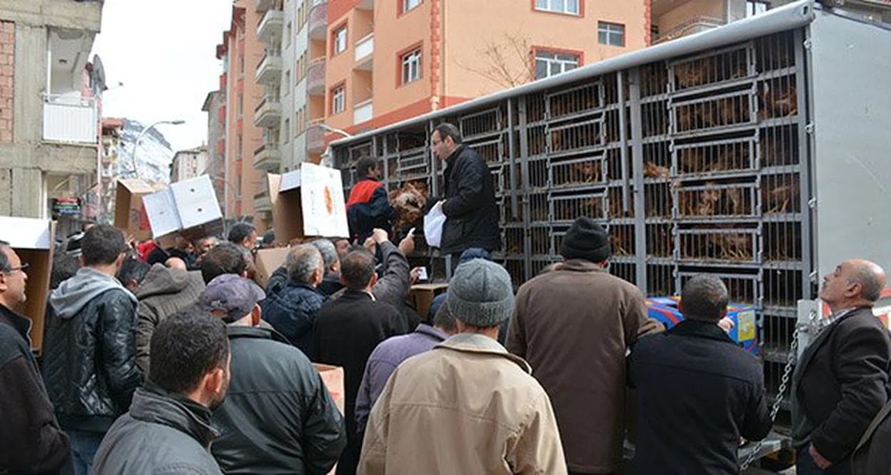 2 bin canlı tavuk dakikalar içerisinde tükendi