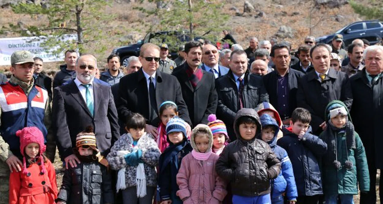 Cebeli Köyüne 10 Bin Fidanlık Yeni Orman