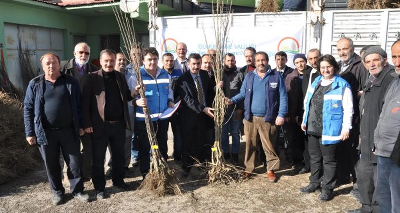 Gümüşhane'de Çiftçilere Meyve Fidanı Dağıtımı Yapıldı