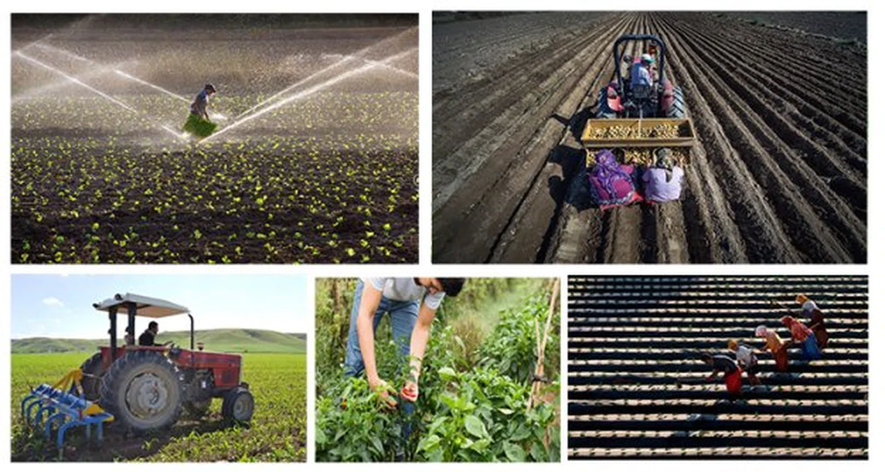 Genç çiftçilere 30 bin lira hibe desteği başladı