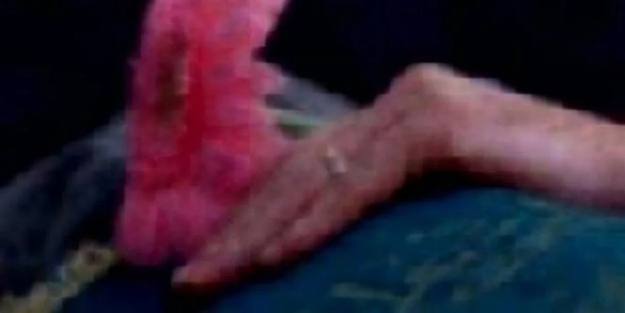 Asiye TÜFEKÇİ Hakk'ın rahmetine kavuşmuştur