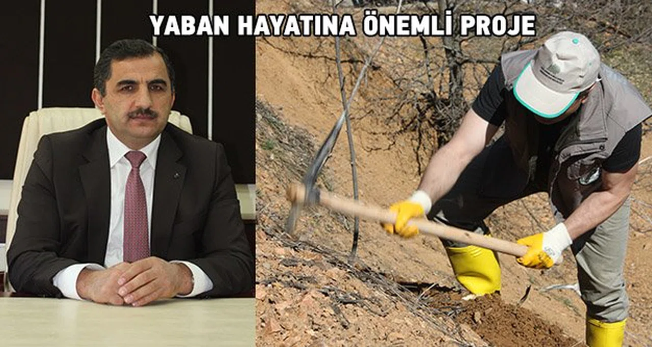 Gümüşhane'de yaban hayatı için önemli proje