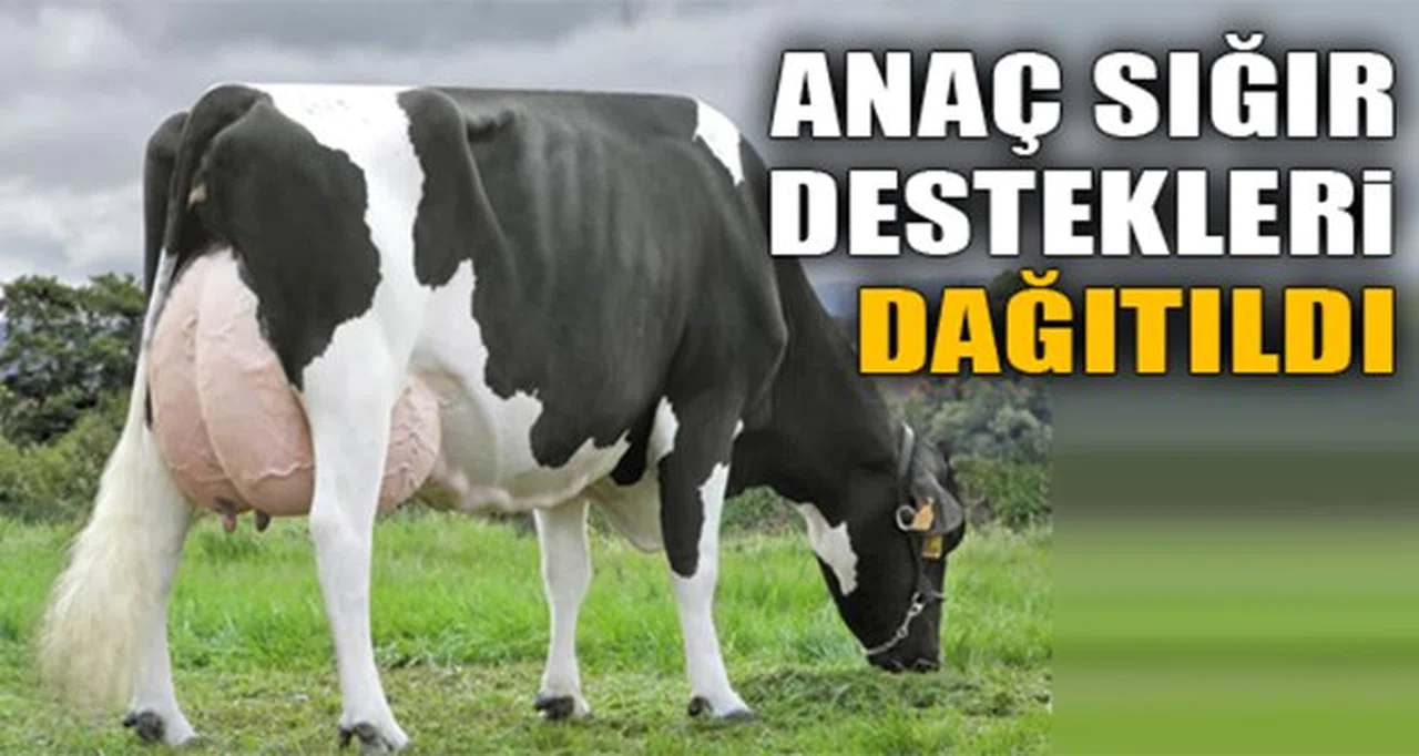 Üreticinin 4,7 milyon TL'si hesaplarında