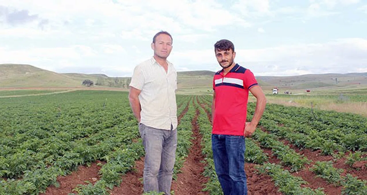 Köse'de Karadeniz'e yetecek patates var depo yok!