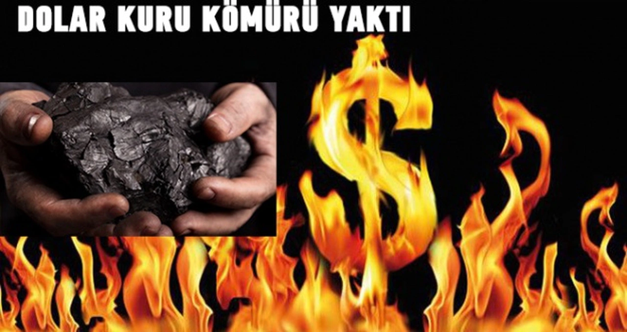 Doların ateşi kömürü yaktı