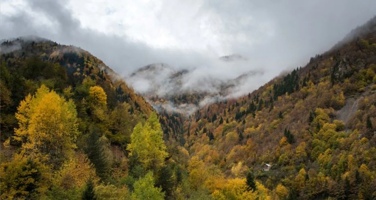 Örümcek Ormanları'ndan son 'bahar' manzaraları