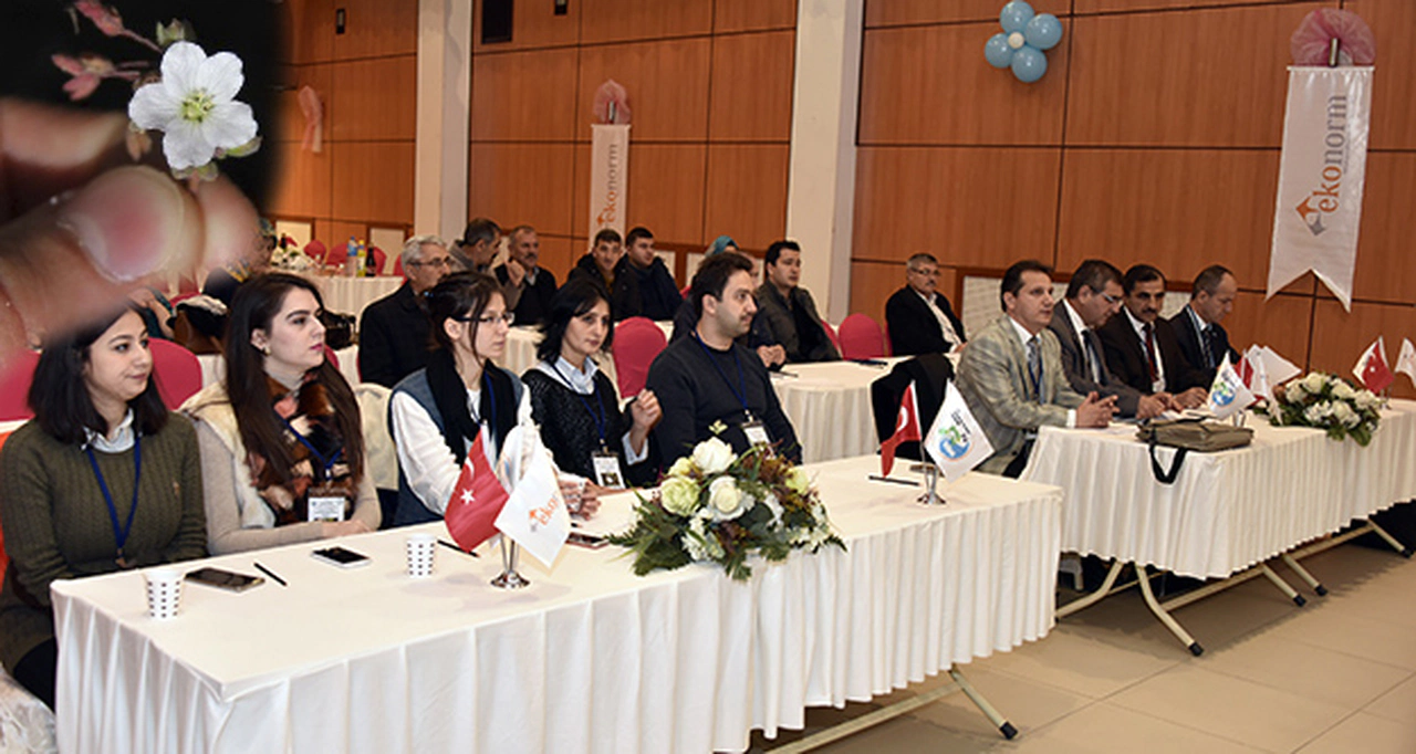 Bu bitkiden Türkiye'de sadece Gümüşhane'de ve Uzungöl'de var