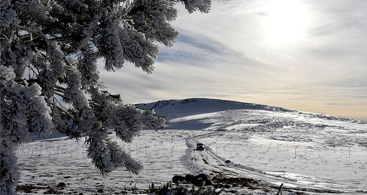 ‘Süleymaniye kayak projesi bir an önce bitirilmelidir’