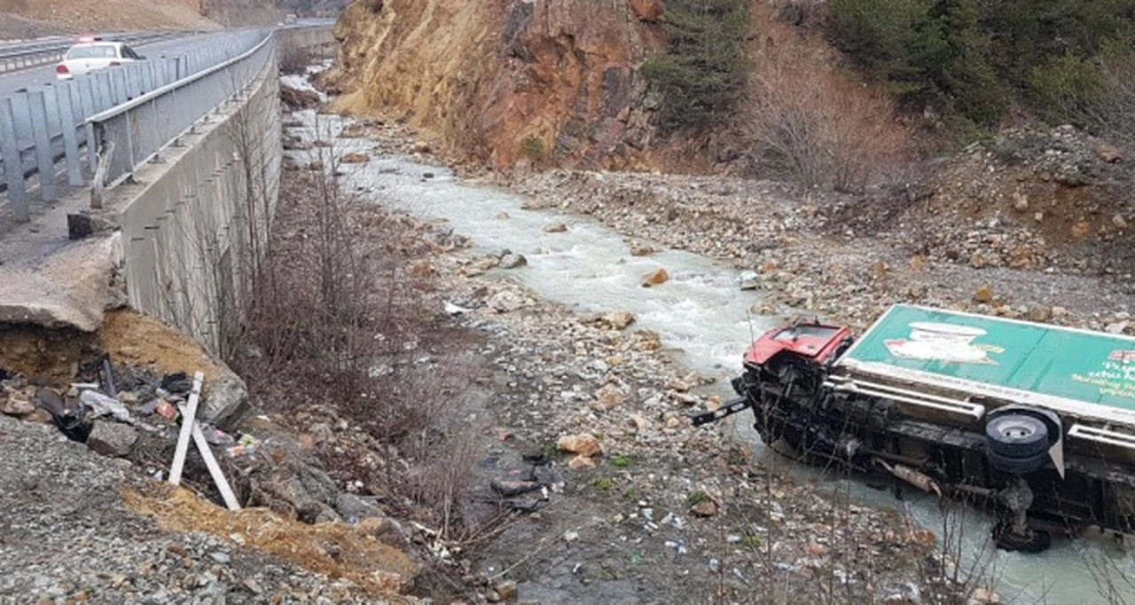 Köpeğe çarpmamak için manevra yapan kamyon dereye uçtu: 2 yaralı
