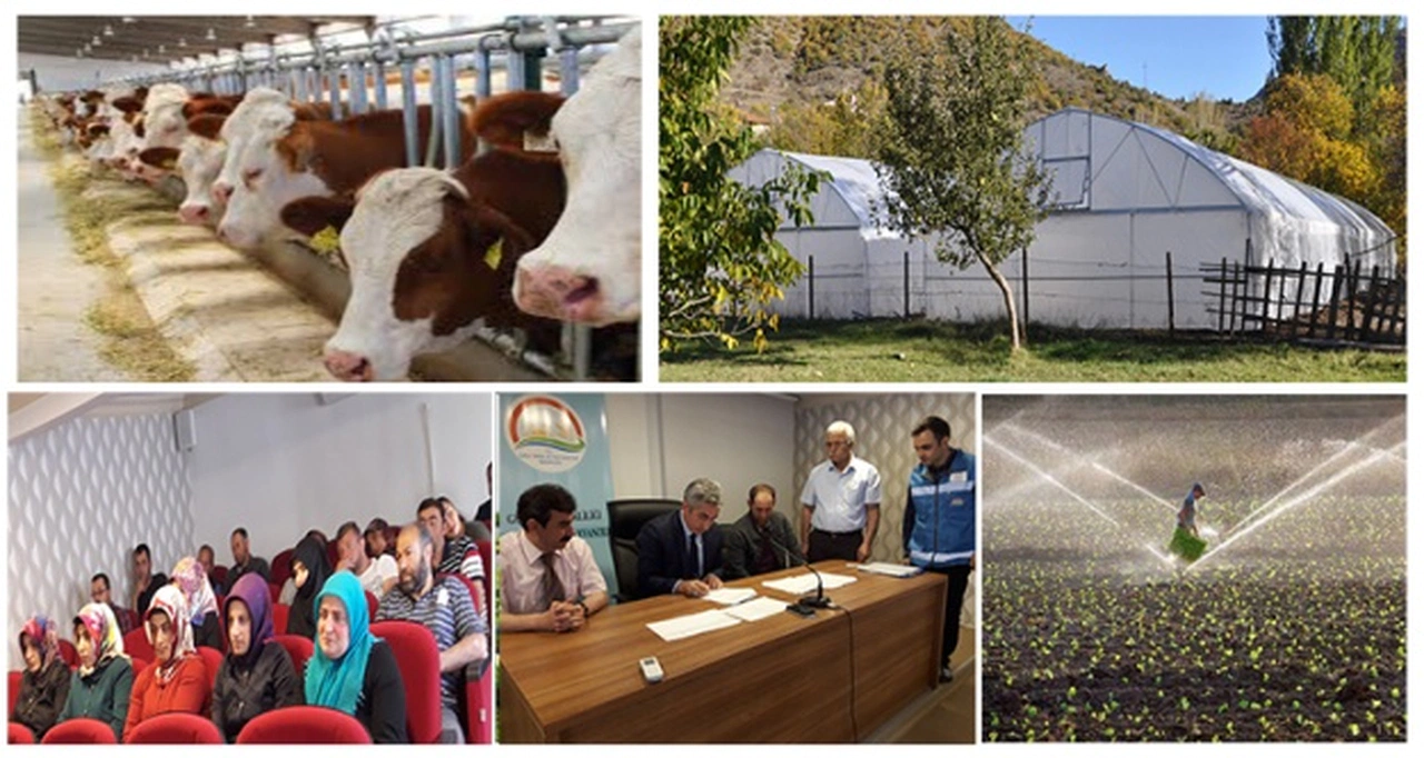 Gümüşhane’de 156 Genç Çiftçiye hibe desteği verilecek