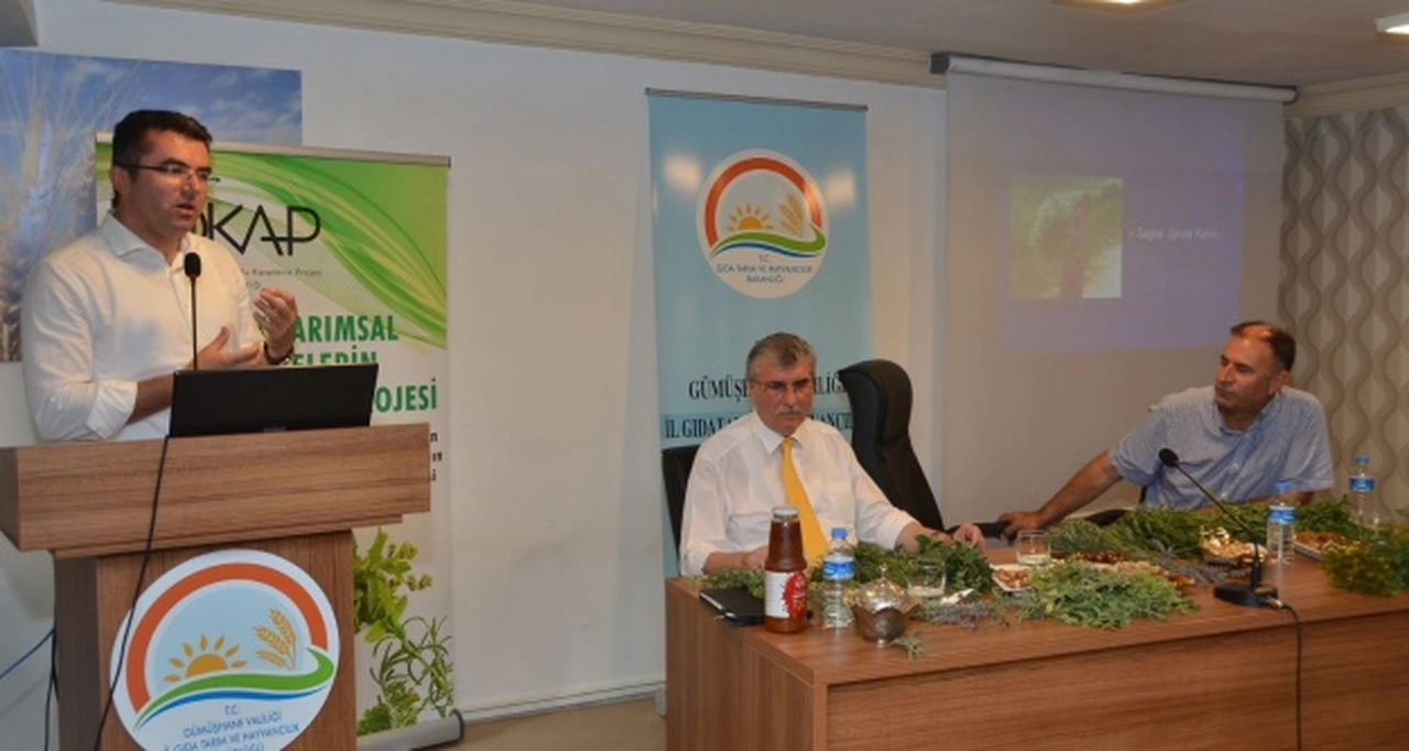 Doğu Karadenizin Tıbbi Bitki Hazinesi Keşfediliyor