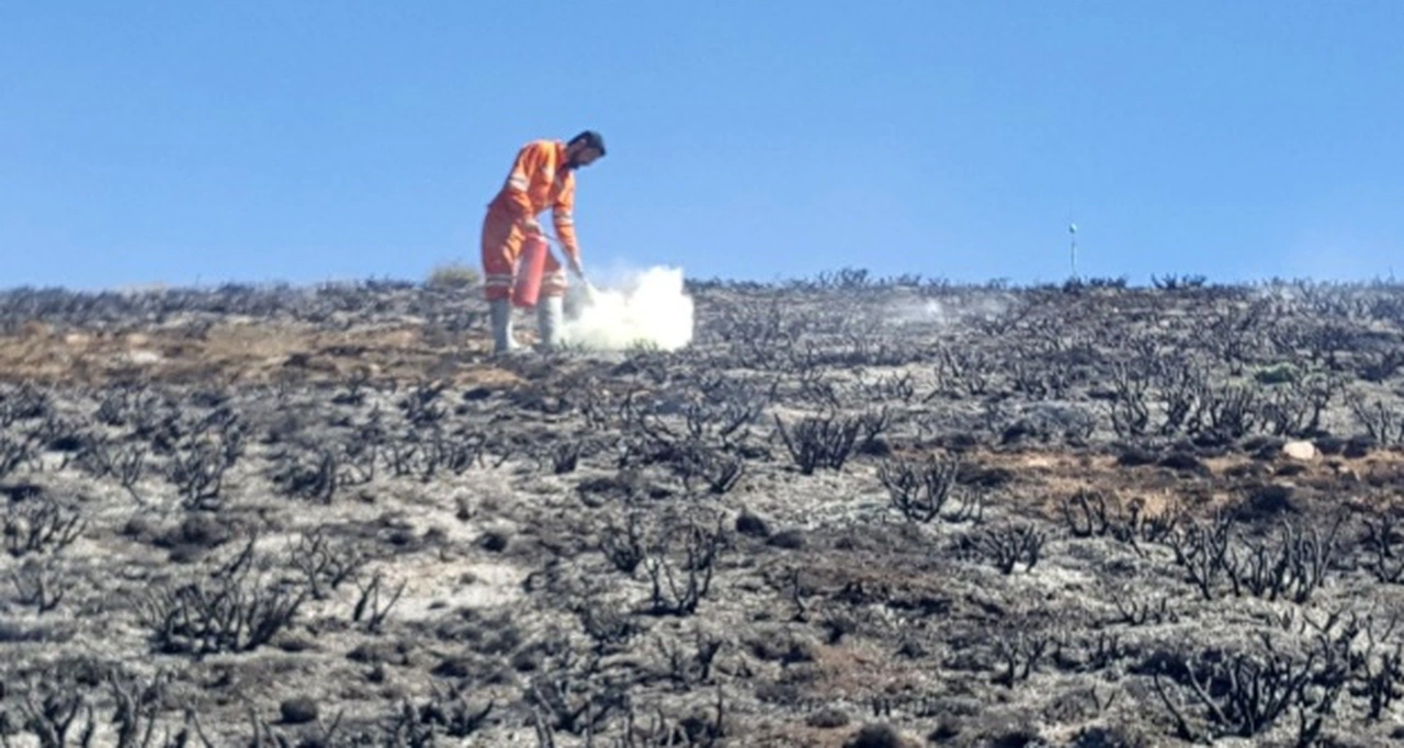 Gümüşhane’de örtü yangını