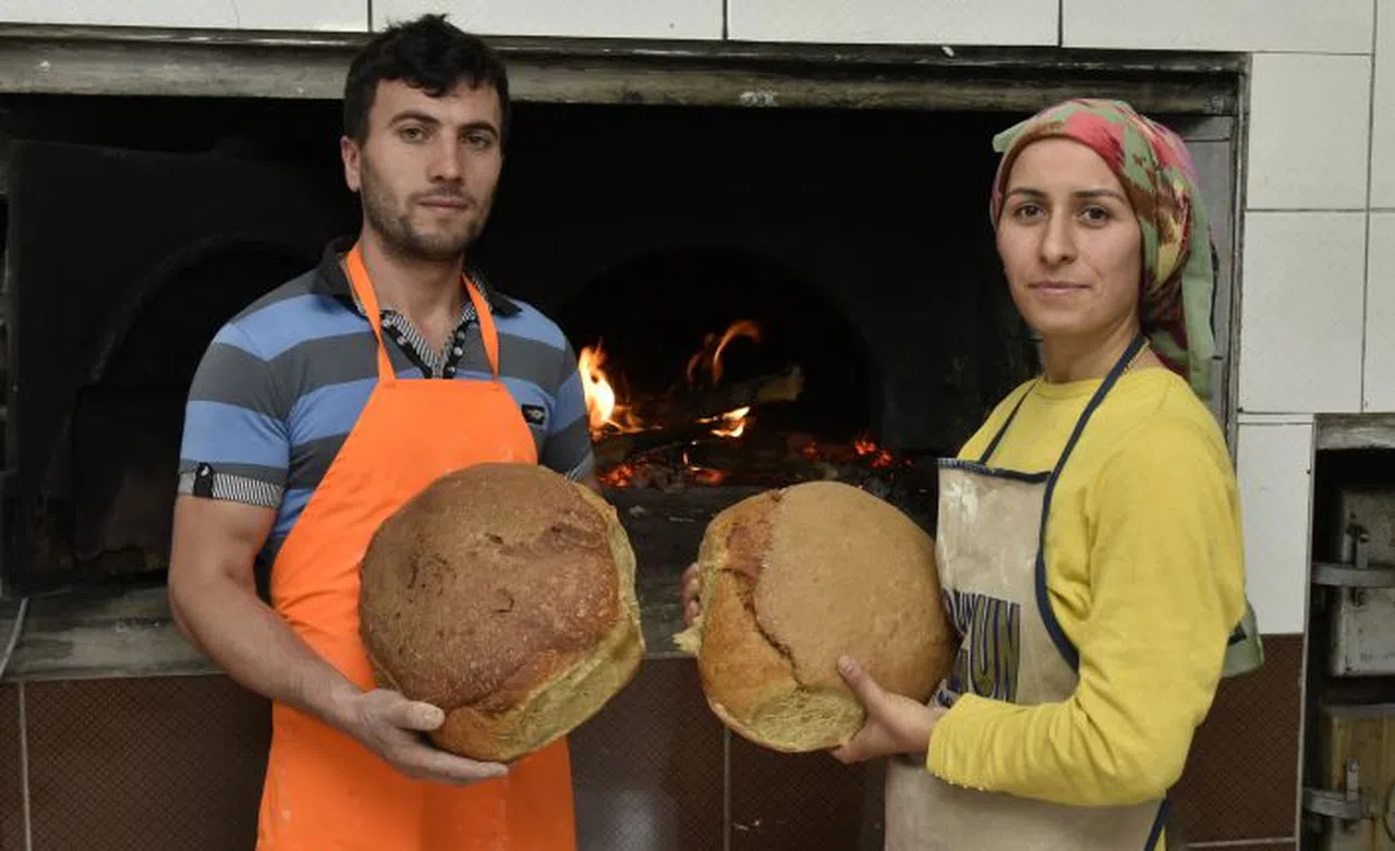 Bu köy buram buram ekmek kokuyor