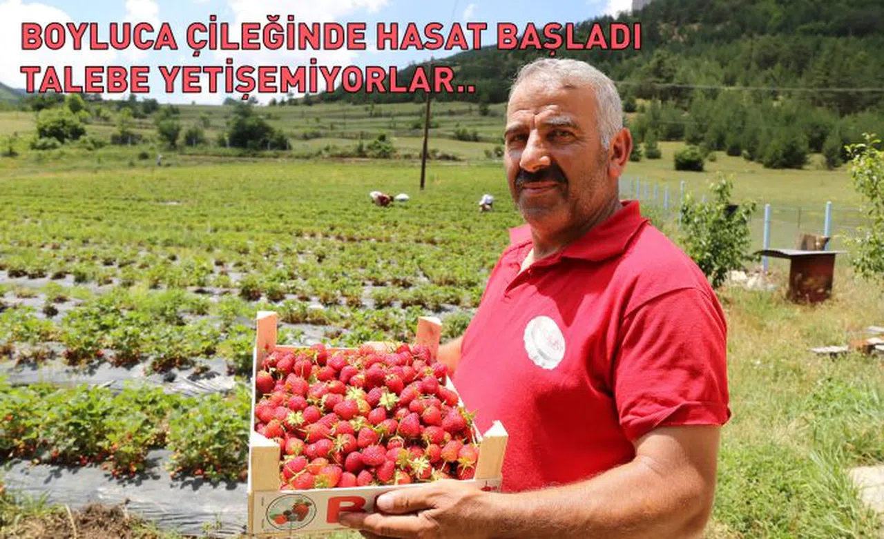 Tavsiye üzerine başladılar şimdi siparişlere yetişemiyorlar