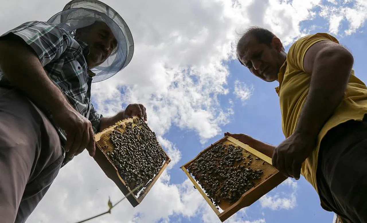 Gümüşhane'den ekonomiye yıllık 1,5 milyon liralık katkı sağlanacak