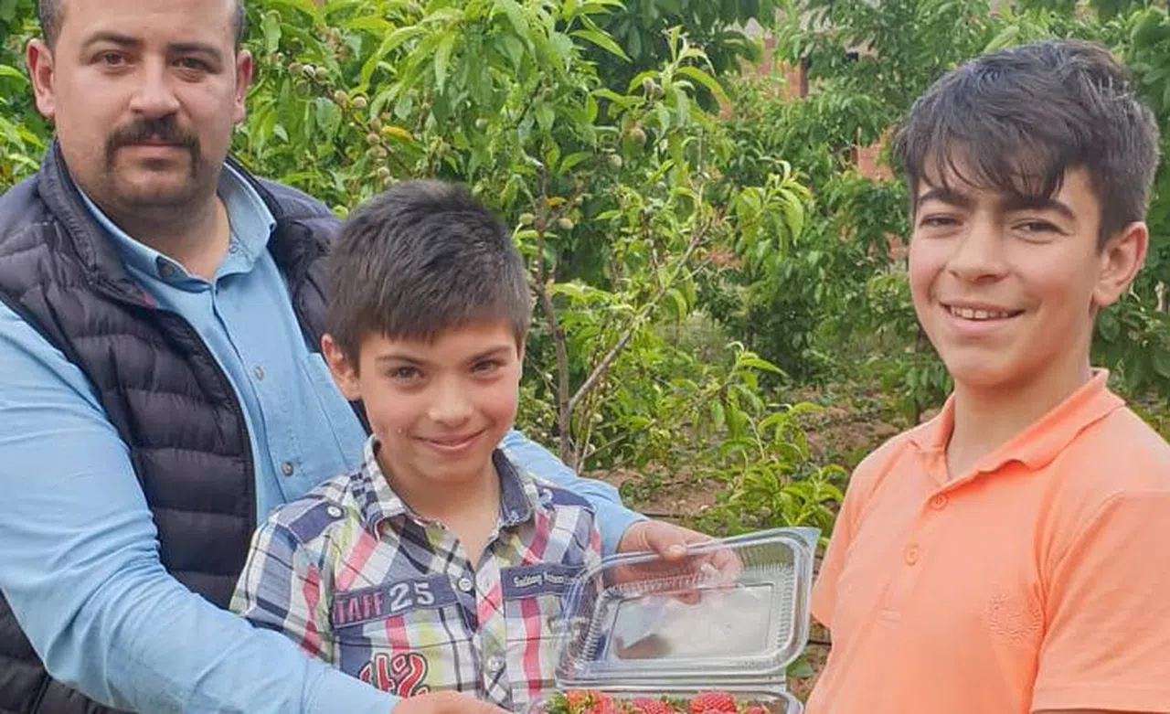 Gümüşhane’de çilek üretimi yaygınlaşıyor