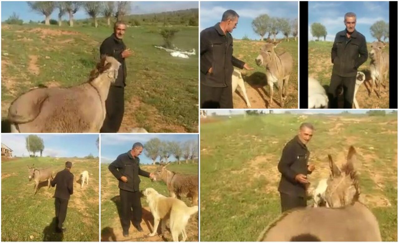 Sevginin böylesi...