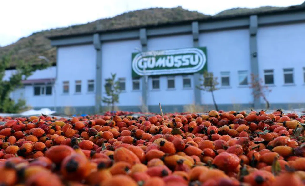 Fabrikanın bahçesi kırmızı renge büründü