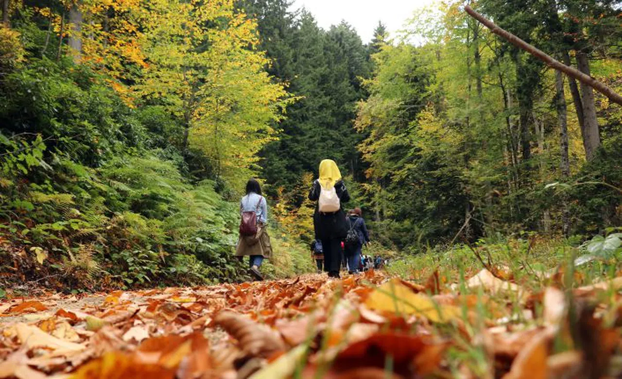 Gümüş şehir ‘Altın’ rengine büründü, dağcılar fırsatı kaçırmadı