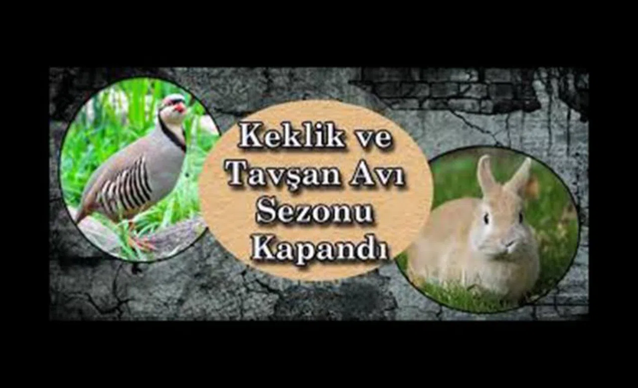 Keklik ve tavşan avı sona erdi