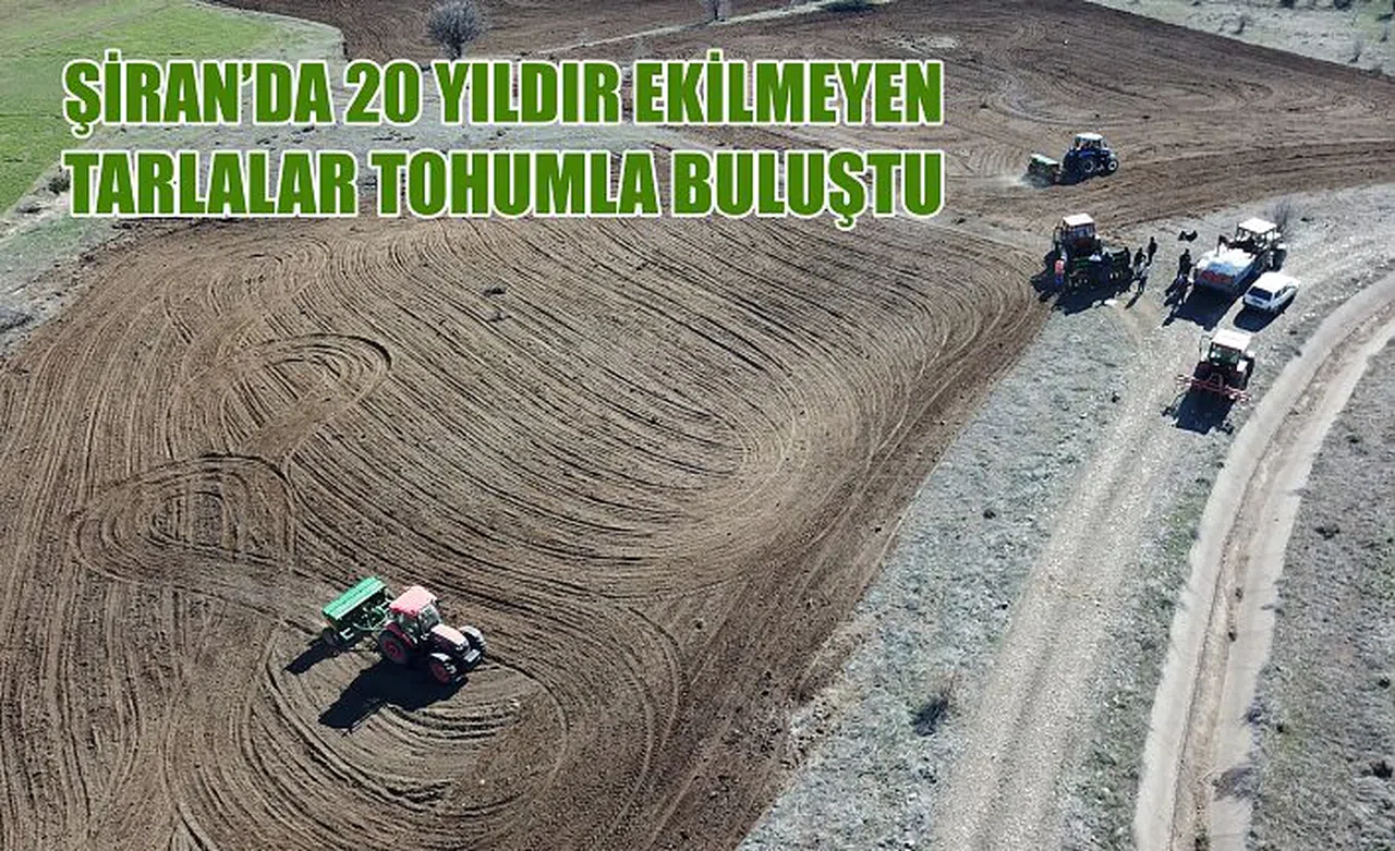 Gümüşhane’de 20 yıldır ekilmeyen tarlalar ekilmeye başlandı