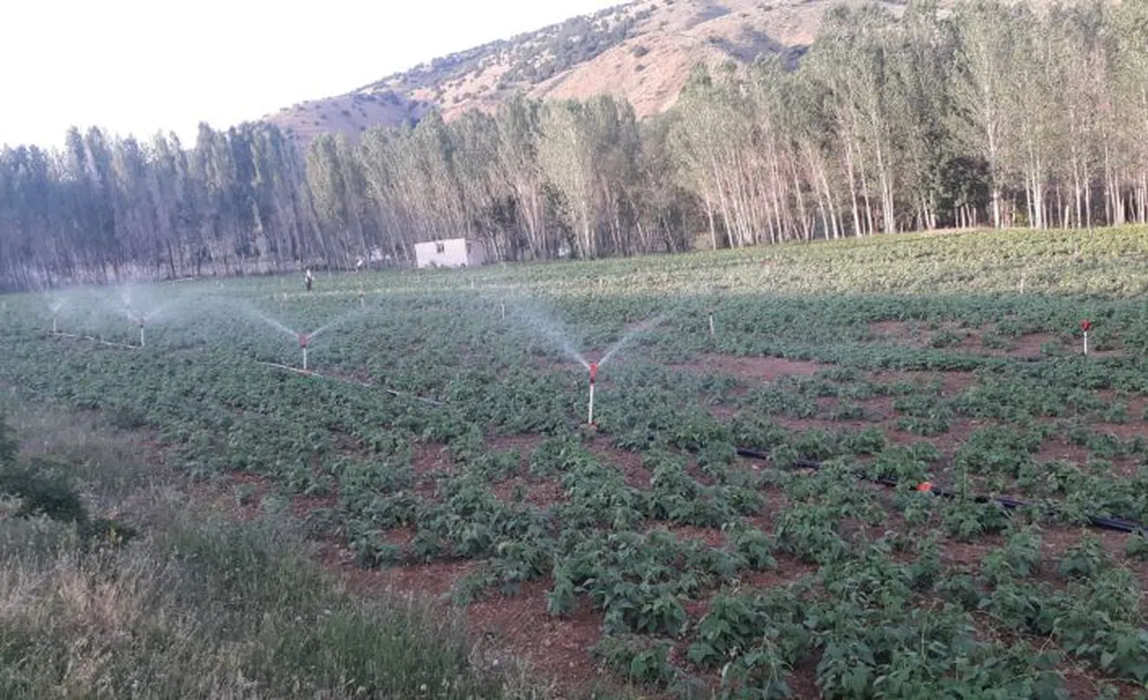 Gümüşhane’de 113 bin 800 dekar tarım arazisinin sulanmasına başladı