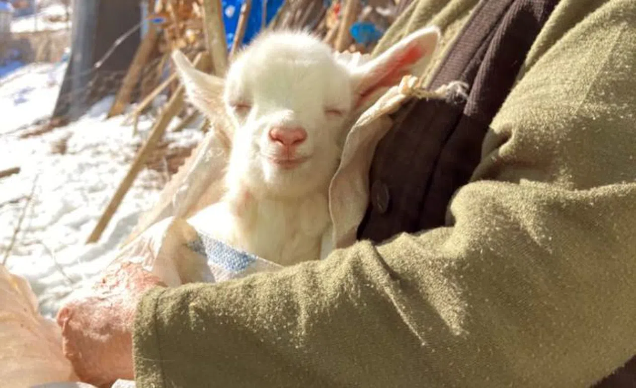 İşte mutluluğun fotoğrafı