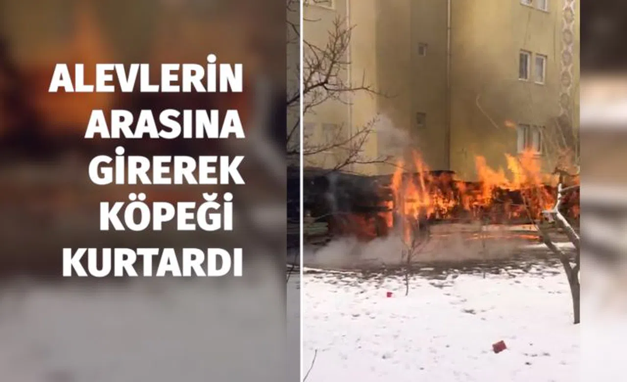 Yanan barakada alevlerin arasına girip köpeği kurtardı