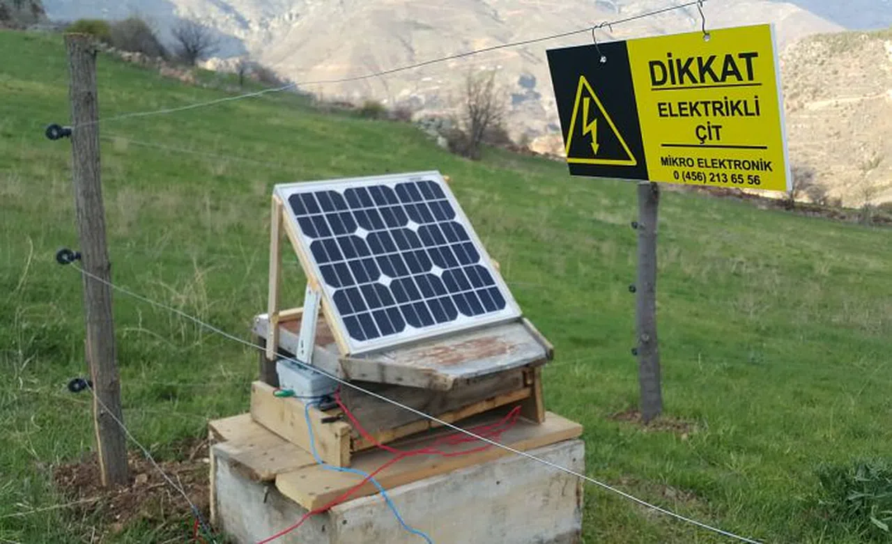 Balsever ayıları MİKROÇİT durduracak