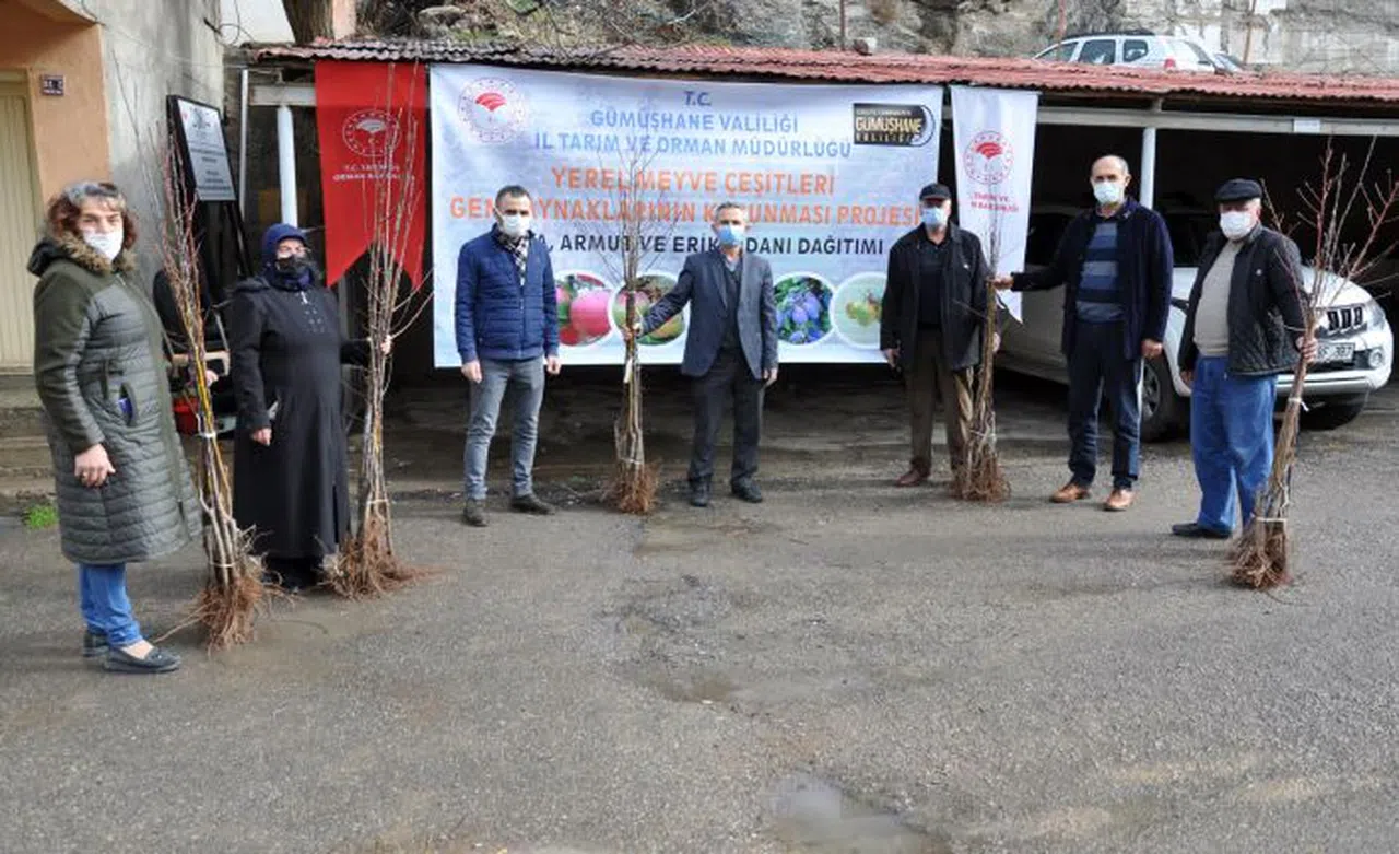 Gümüşhane’de üreticilere 4 bin adet yerli meyve fidanı dağıtıldı