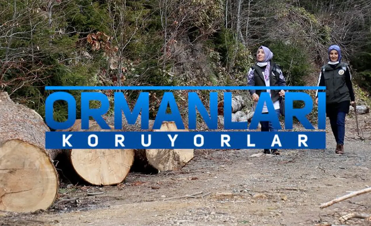 Ellerinin hamuruyla ormanları koruyorlar