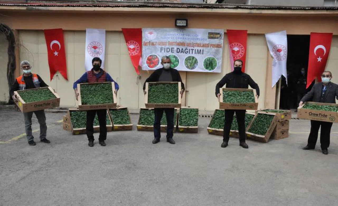 Gümüşhane’de üreticilere 146 bin 700 adet fide dağıtıldı