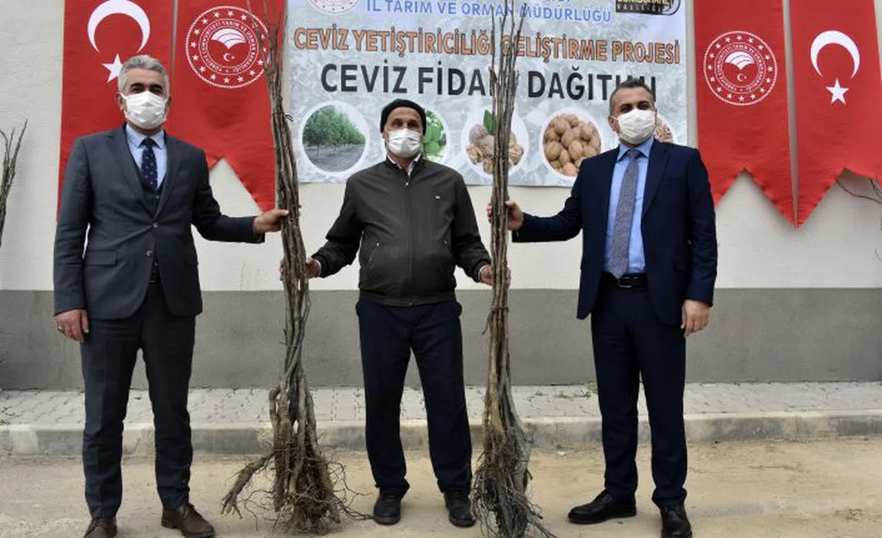 Gümüşhane’de üreticilere 5 bin 600 ceviz fidanı dağıtıldı