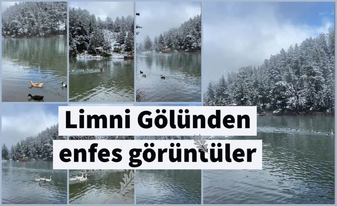Limni Gölü tabiat parkından eşsiz görüntüler