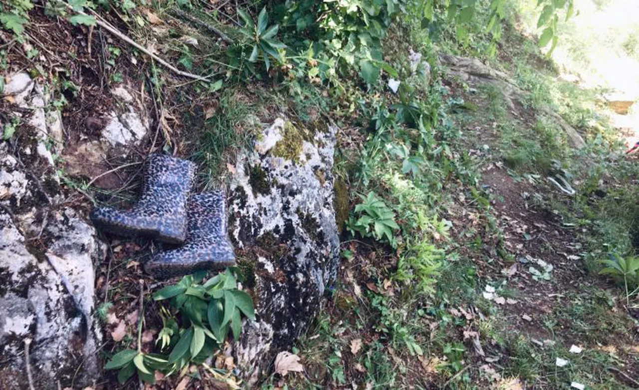 Hayvanlarını otlatırken yüksekten düşen yaşlı kadın hayatını kaybetti 