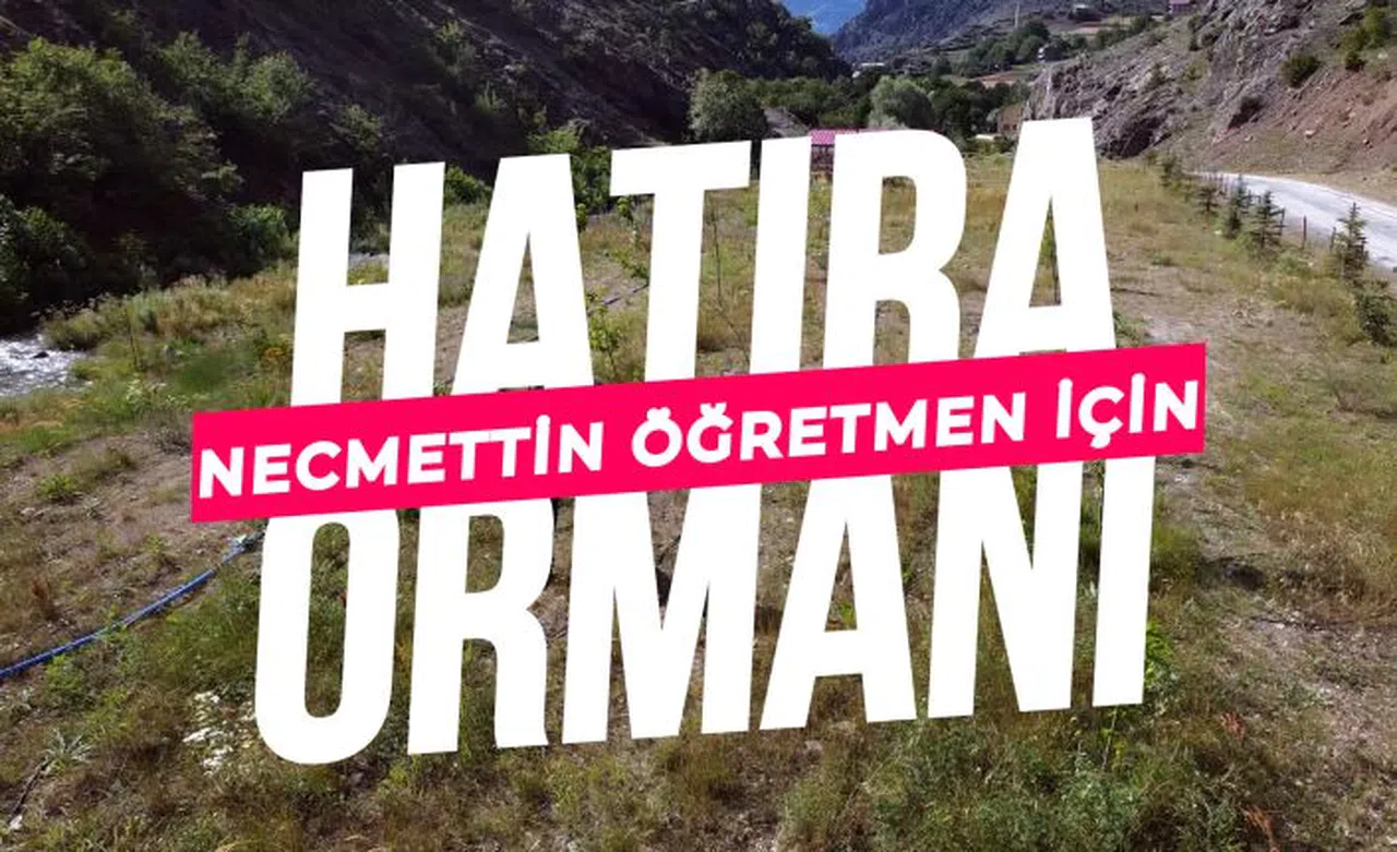 Şehit öğretmenin hatırası için orman oluşturuldu