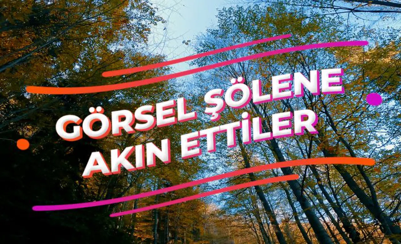 Görsel şöleni görmek için Örümcek Ormanlarına akın ettiler