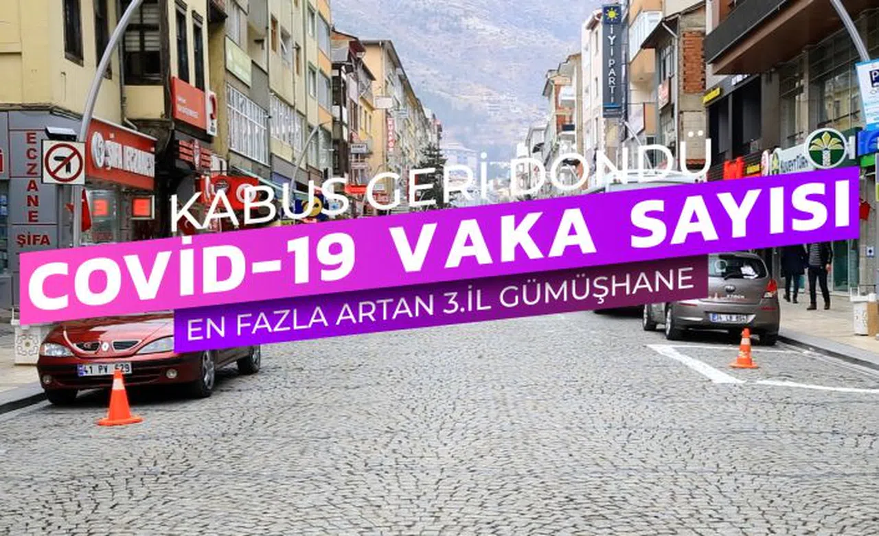 Vakaların en çok arttığı üçüncü şehir Gümüşhane