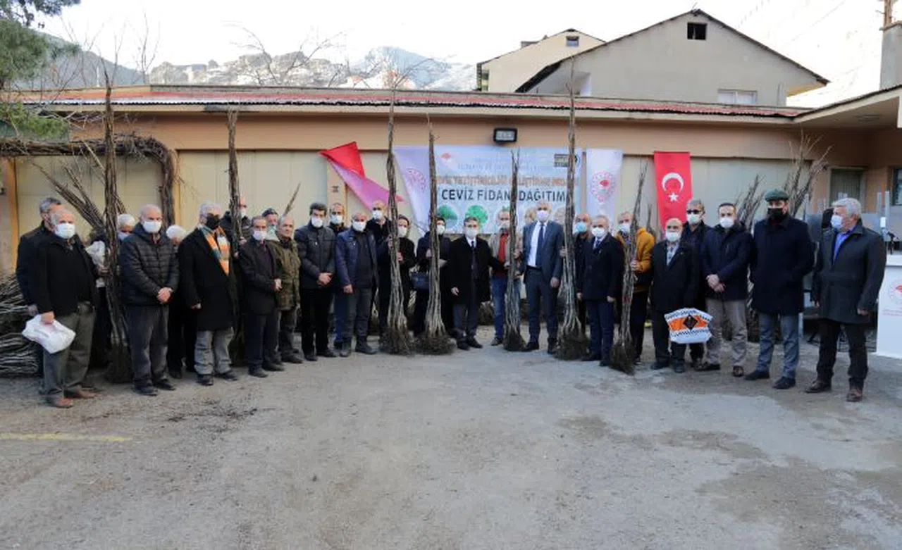 Gümüşhane’de 5 bin 322 adet ceviz fidanı daha toprakla buluştu