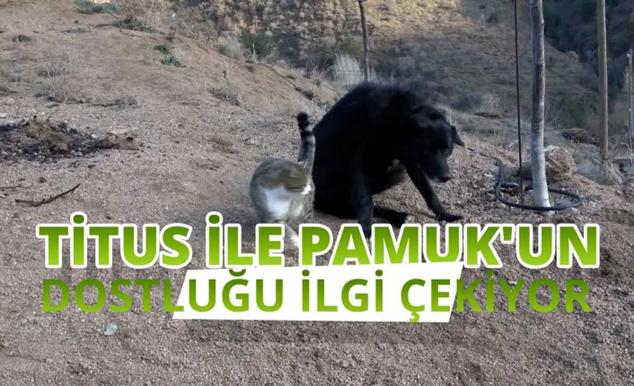 Titus ile Pamuk’un dostluğu ilgi çekiyor