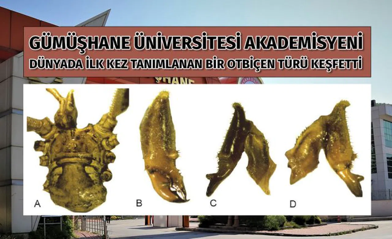 Gümüşhane Üniversitesi akademisyeninden yeni bir tür keşfi