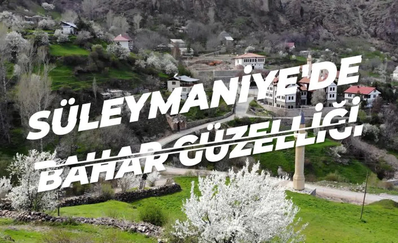 Tarihi mahalle bahar renklerine büründü, görsel şölen oluştu