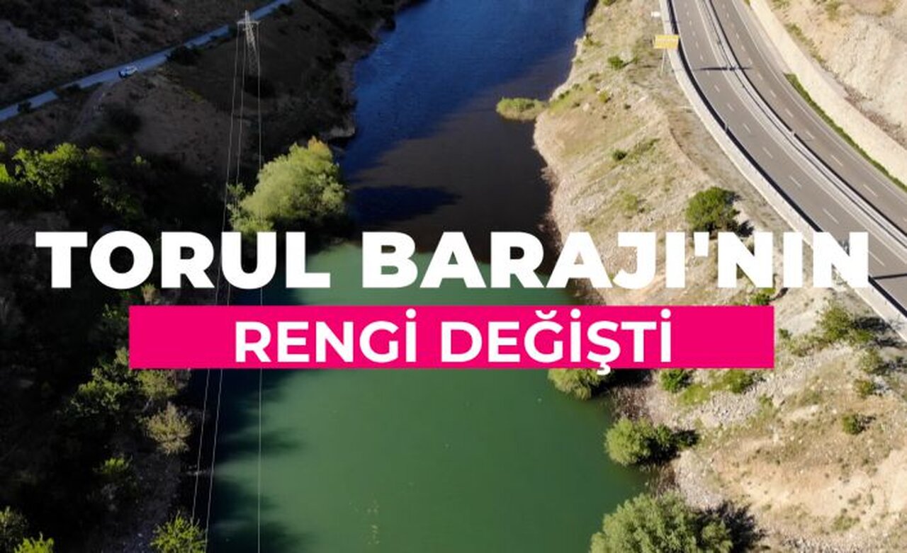 Torul Baraj Gölünde alg patlaması suyun rengini değiştirdi