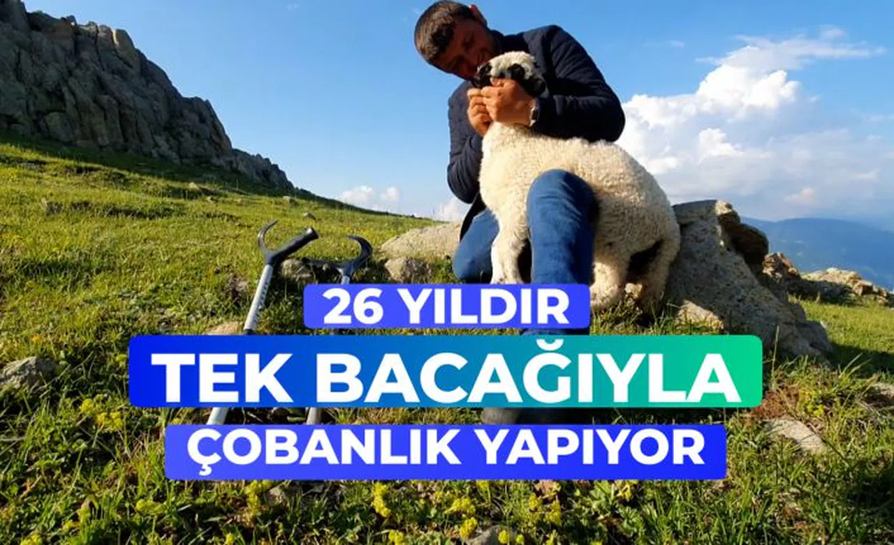 26 yıldır tek bacağıyla hayvanlarını otlatıyor