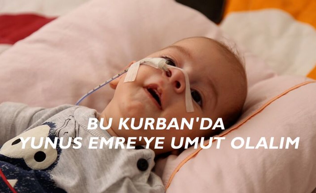 Gelin bu bayram Yunus Emre’ye nefes olalım