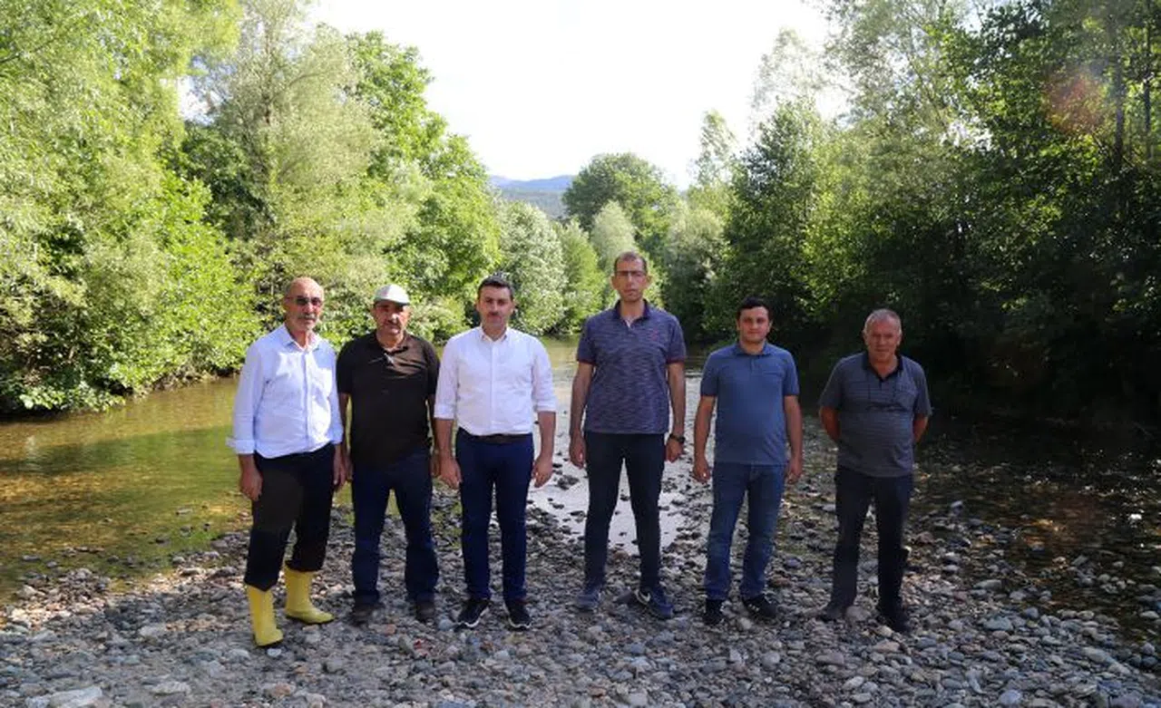 Torul’da derelere alabalık, doğaya keklik bırakıldı