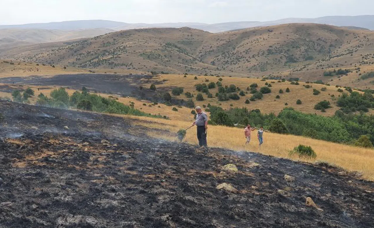 Çobanın yaktığı ateş nedeniyle 20 hektarlık arazi küle döndü
