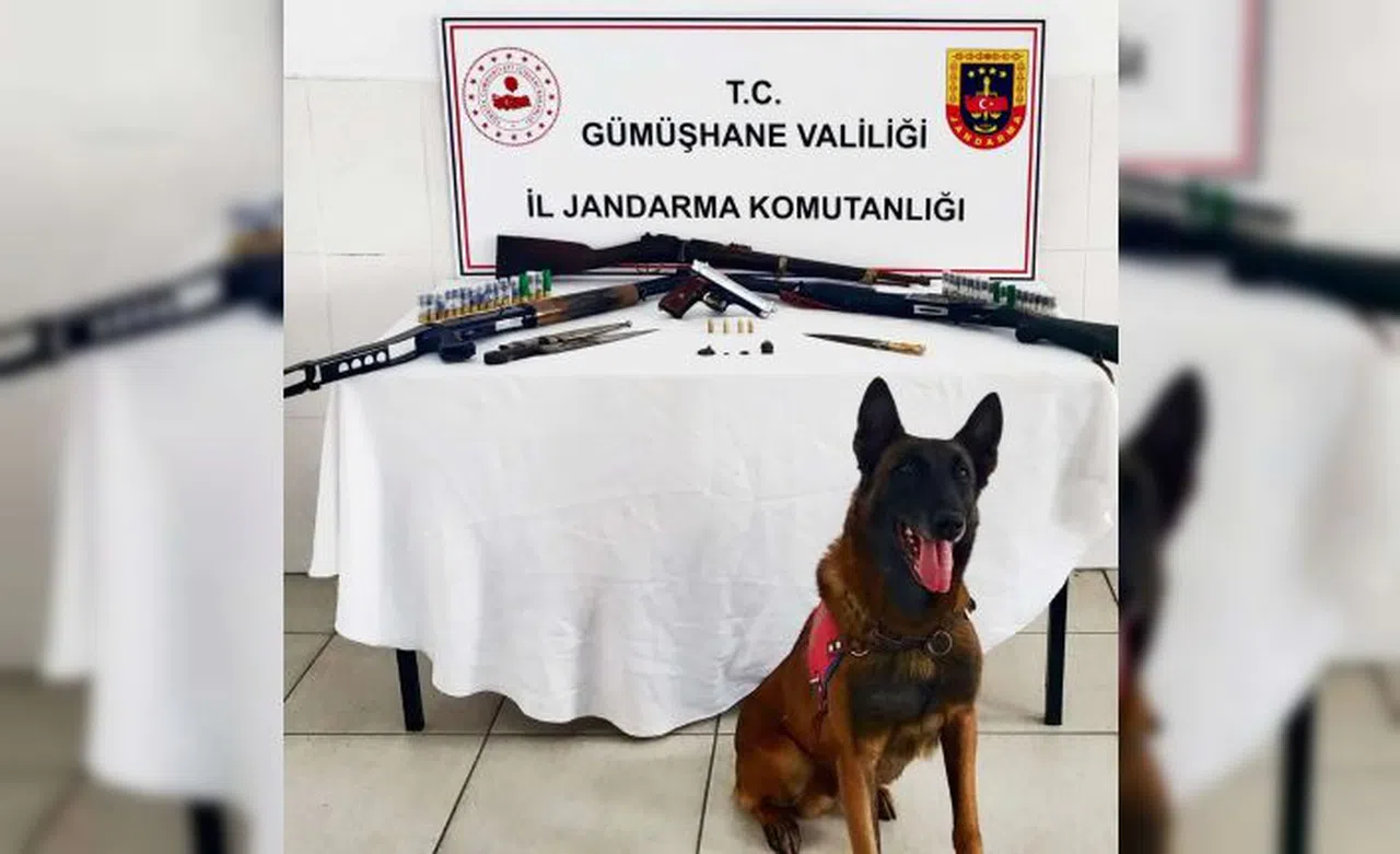 Kaçak silah imalathanesine yapılan baskında Roma dönemine ait sikkeler ele geçirildi